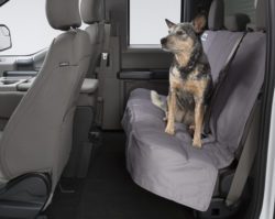 Custom Rear Seat Protectors